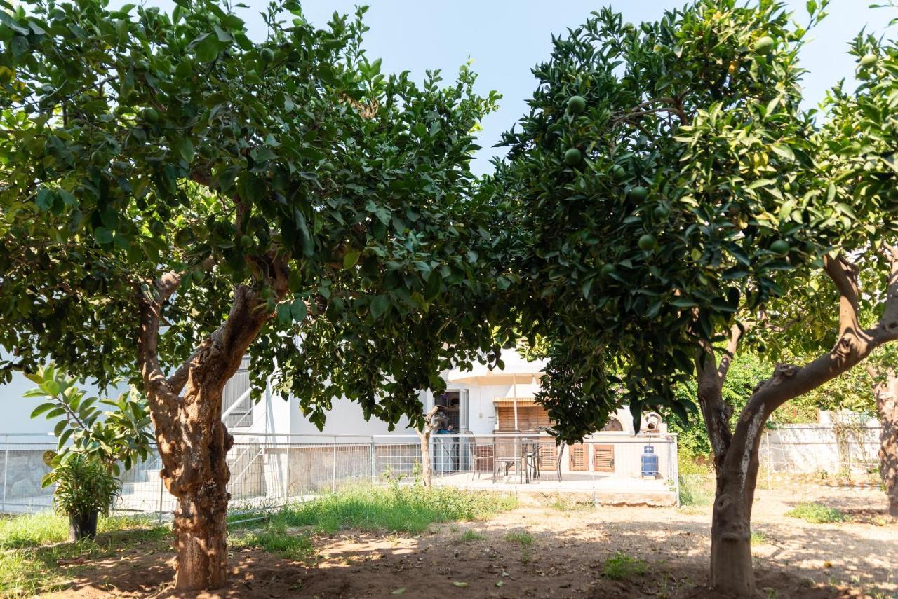 Garden House Preveza Apartment Екстериор снимка
